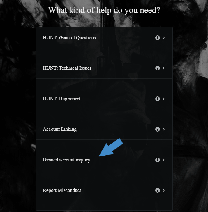 Hunt showdown online account client settings live что это