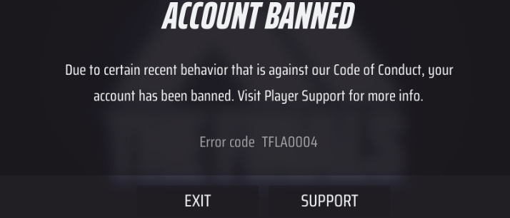 The Finals Account Permanent Ban